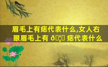 眉毛上有痣代表什么,女人右眼眉毛上有 🦟 痣代表什么